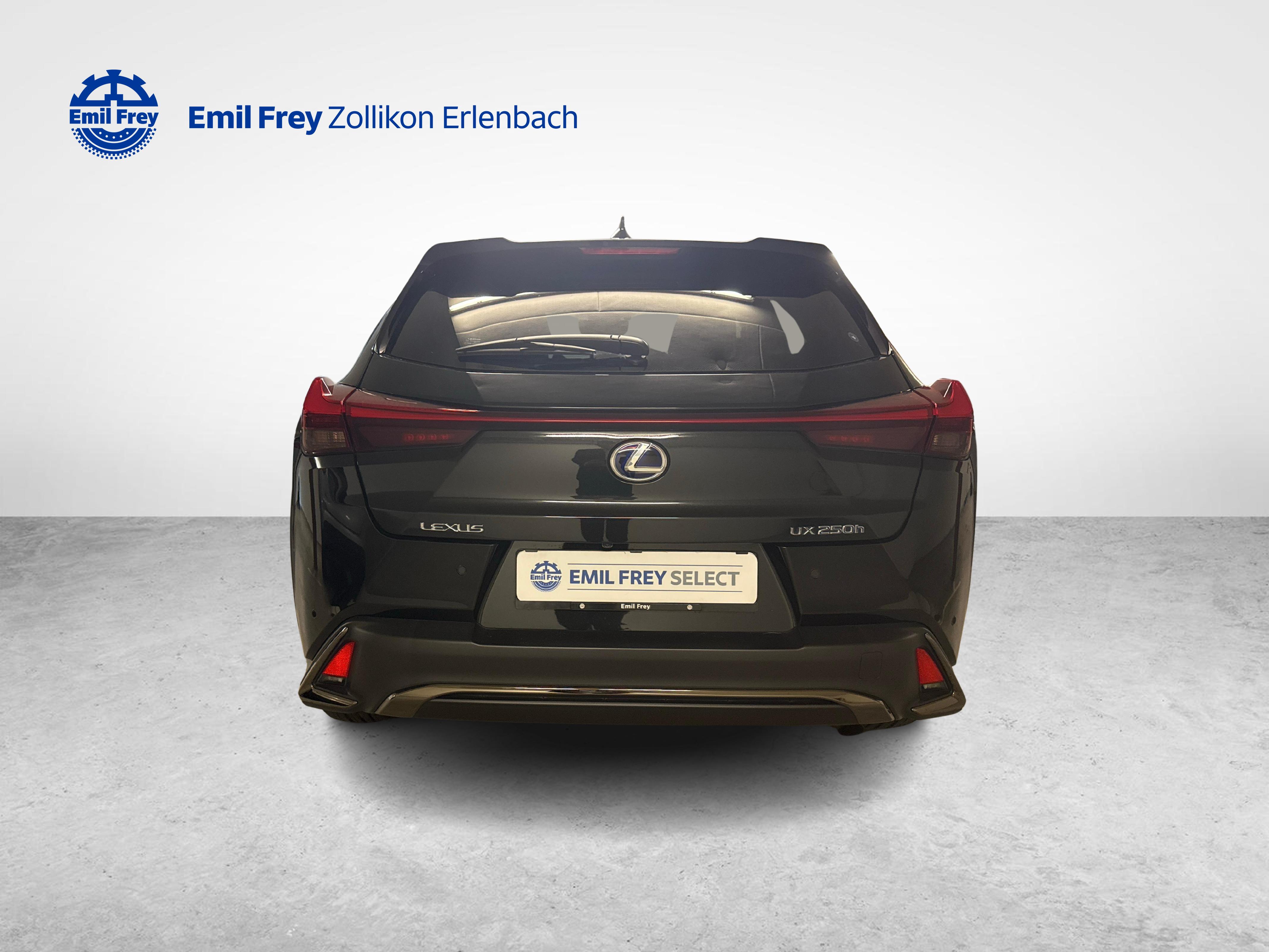 LEXUS UX 250h F-Sport_4