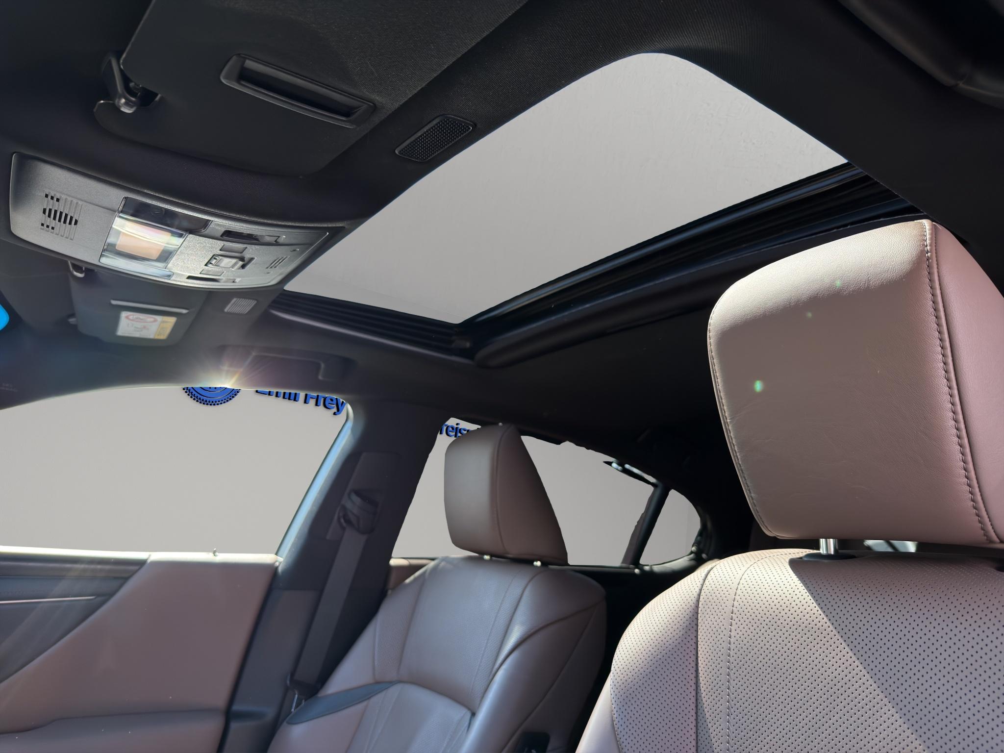 LEXUS ES 300h Excellence_9