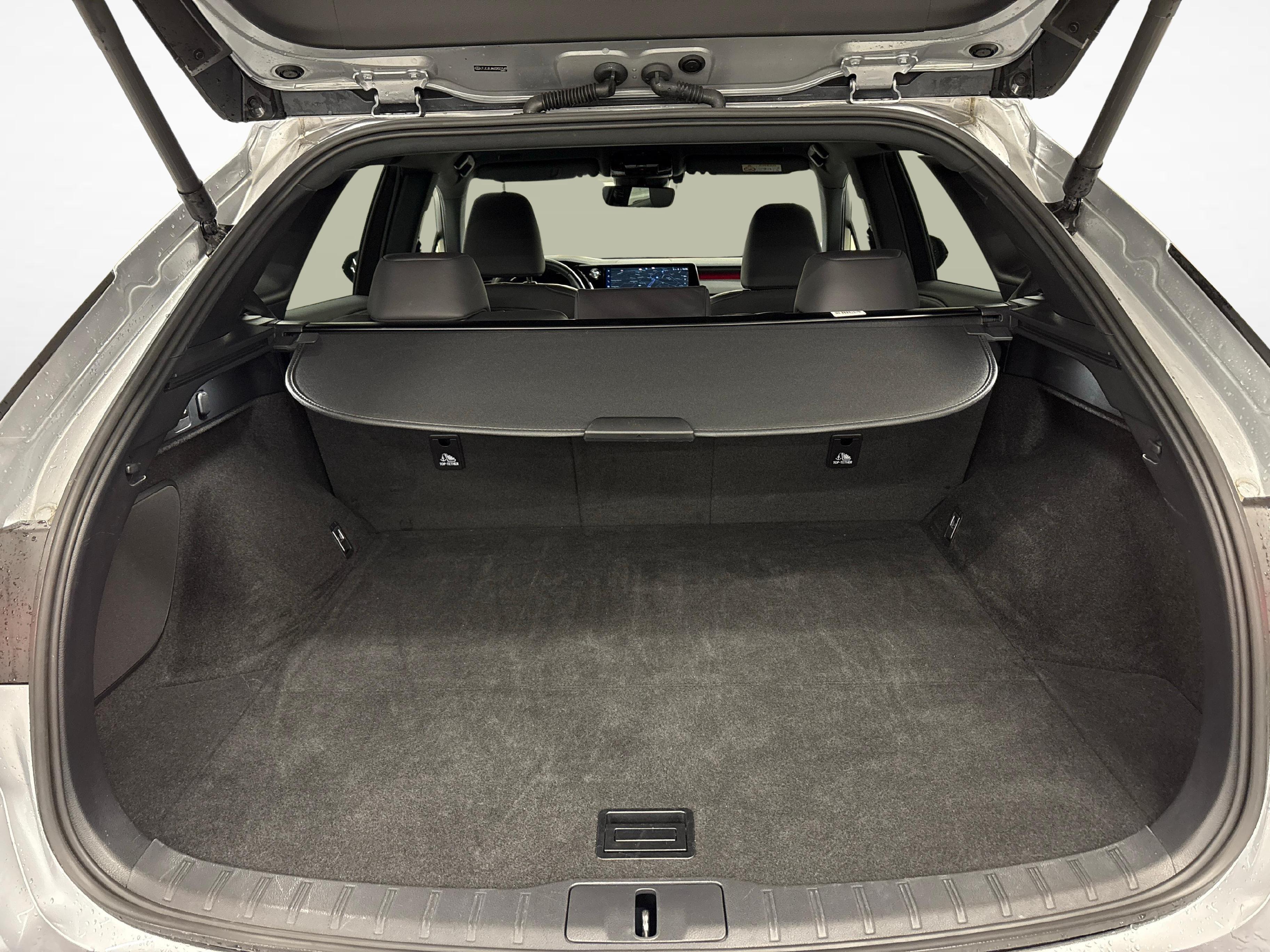 LEXUS RX 350h F-Line_13